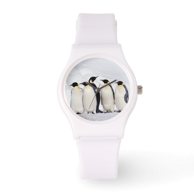 Emperor Penguins Horloge (Voorkant)