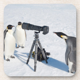 Emperor Penguins met camera - drankzuiger Drankjes Onderzetter