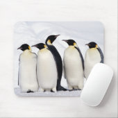 Emperor Penguins Muismat (Met muis)