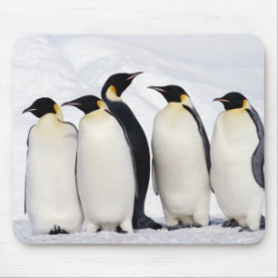 Emperor Penguins Muismat
