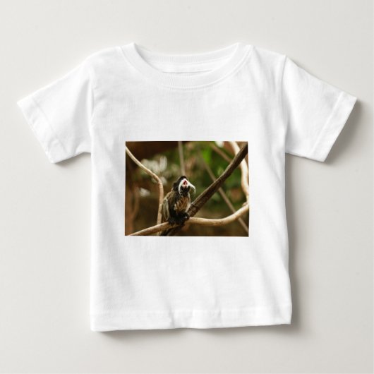 Emperor Tamarin (Voorkant)