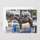 Empire Stakes Winner "Saratoga Snacks" Briefkaart (Voorkant / Achterkant)