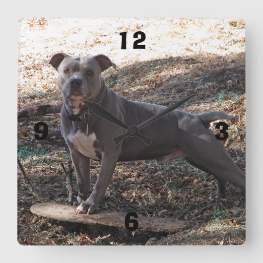 Emplacement avec horloge murale numérotée du skate (Recto)