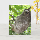 Emplacement dans l'arbre Cartes de voeux (Fleur jaune)