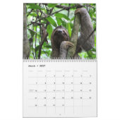 Emplacements Calendrier de 12 mois Photographies d (Mar 2027)