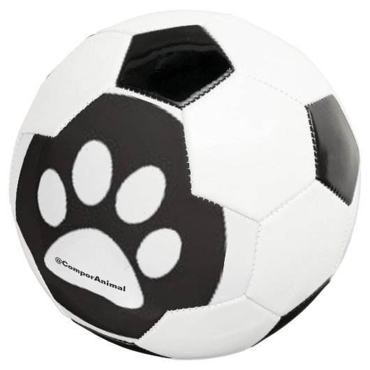 Empreinte d'animal (3/4)