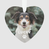 Empreinte de patte animal de compagnie chien photo (devant)