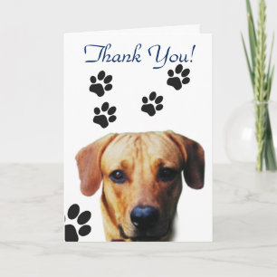 Empreinte de patte de chien Merci