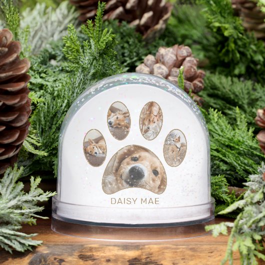 Empreinte de patte personnalisé Nom de l'animal de (Hiver)