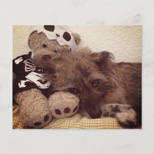 empreinte de patte sur votre coeur carte mémoire d (Devant)