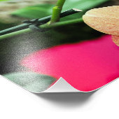 Empreinte photo rose et pêche orchidées (Coin)