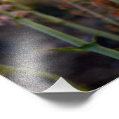 Empreinte photo Wild Purple Snapdragons (Coin)