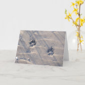 Empreintes dans la carte de sable (Fleur jaune)