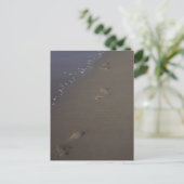 Empreintes dans la carte postale de Sand Beach (Debout devant)