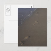 Empreintes dans la carte postale de Sand Beach (Devant / Derrière)