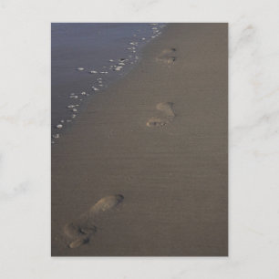 Empreintes dans la carte postale de Sand Beach
