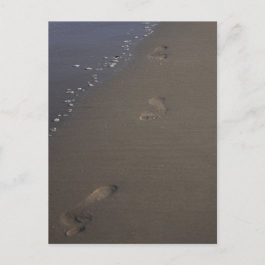 Empreintes dans la carte postale de Sand Beach (Devant)