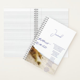 empreintes dans le journal des sables
