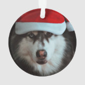 Empreintes de Pattes À Tout Jamais dans Nos Cœurs (dos)