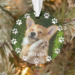 empreintes de pattes blancs Cadre personnalisé Ani