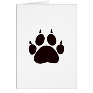 Empreintes de pattes de chat