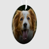 Empreintes de pattes et coeurs Cadre Personnalisé (devant)