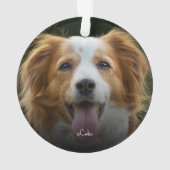 Empreintes de pattes et coeurs Cadre Personnalisé (dos)