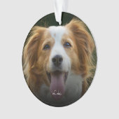 Empreintes de pattes et coeurs Cadre Personnalisé (devant)