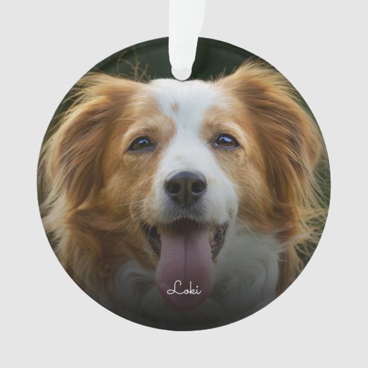 Empreintes de pattes et coeurs Cadre Personnalisé (devant)