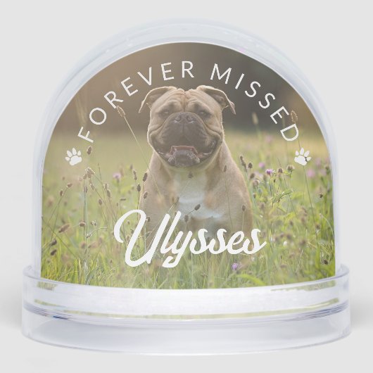 Empreintes de pattes Forever Manquant Nom Chien Ph (Avant)