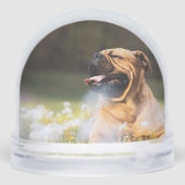 Empreintes de pattes Forever Manquant Nom Chien Ph (Arrière)