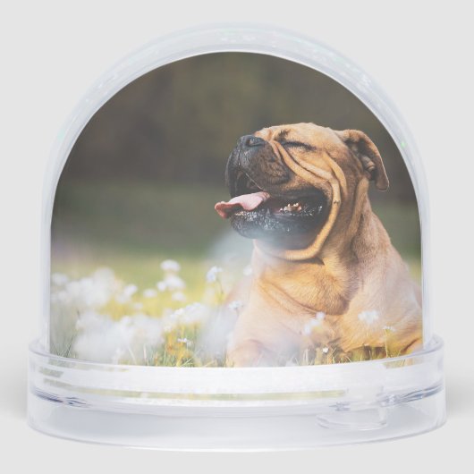 Empreintes de pattes Forever Manquant Nom Chien Ph (Arrière)