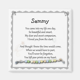 Empreintes de pattes sur mon aimant de perte