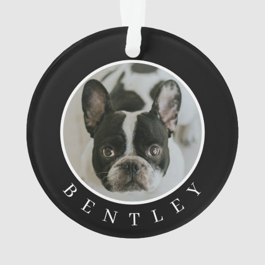 Empreintes de pattes sur nos coeurs Script Pet Pho (dos)