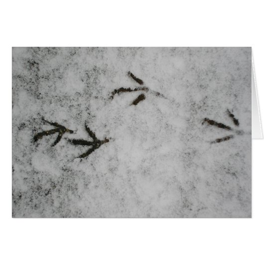 Empreintes De Pied Dans La Neige (Devant horizontal)