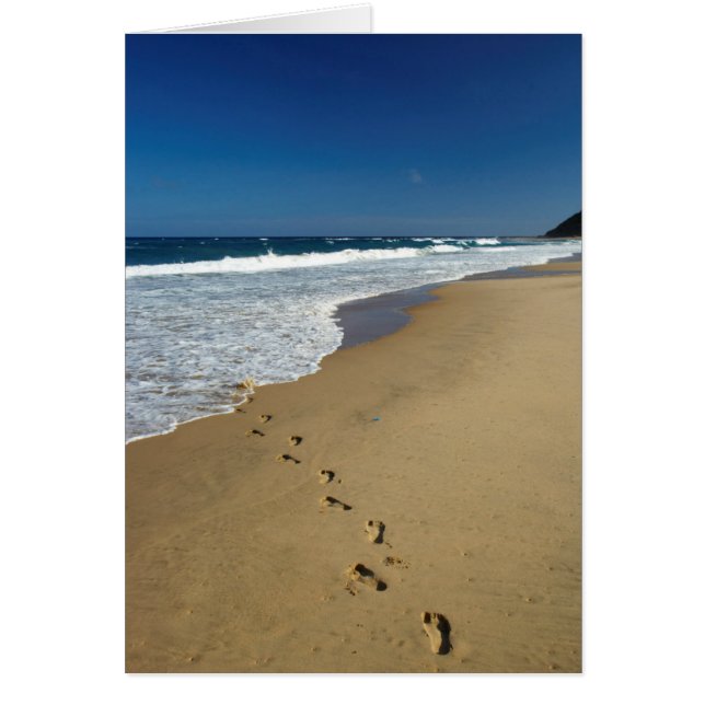 Empreintes sur la plage, Mabibi, Thongaland (Devant)