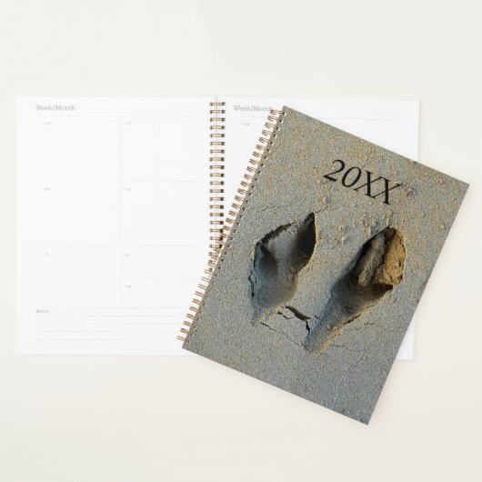 Empreintes Wallaby en sable (Devant avec enveloppe)
