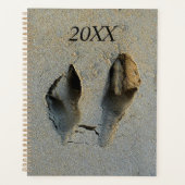 Empreintes Wallaby en sable (Devant)