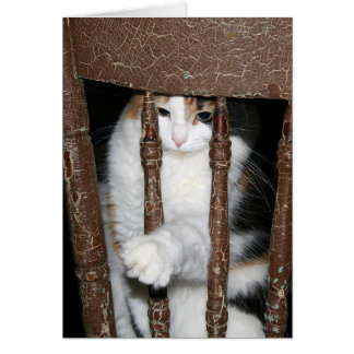 Emprisonné