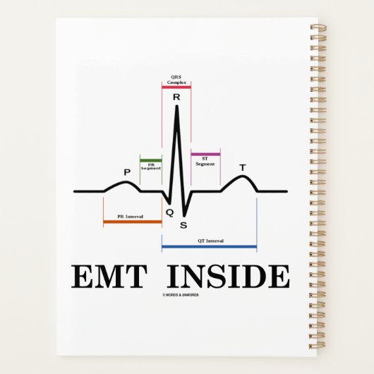 EMT Inside Sinus Rhythm Electrocardiogram (Dos)