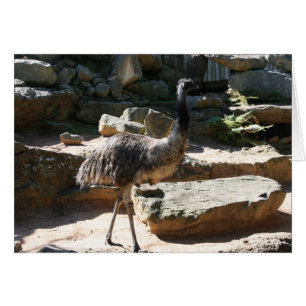 emu
