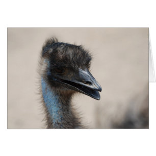 Emu