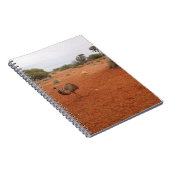 Emu australien dans le carnet extérieur (Côté Droit)