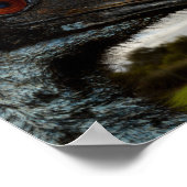 Emu Australien, Gros Plan. Affiche (Coin)