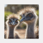 Emu Birds Magneet (Voorkant)