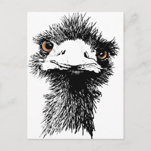 Emu Briefkaart