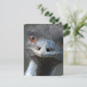 Emu Briefkaart (Staand voorkant)