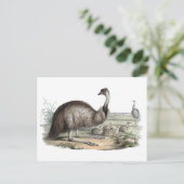 Emu Briefkaart (Staand voorkant)