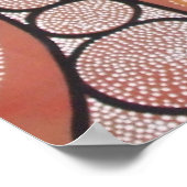 EMU DREAMING POSTER (Coin)