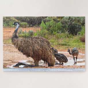 Emu en cichorei spelen in de pudles, Australië Legpuzzel